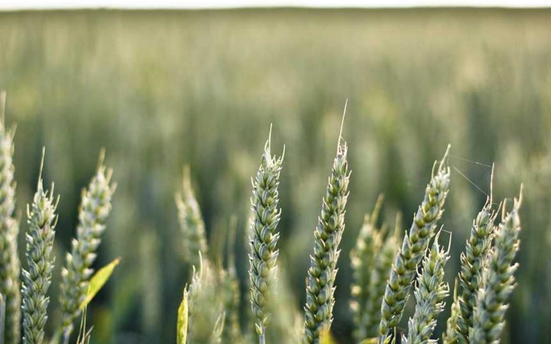 How to Prepare for Your Branding Project