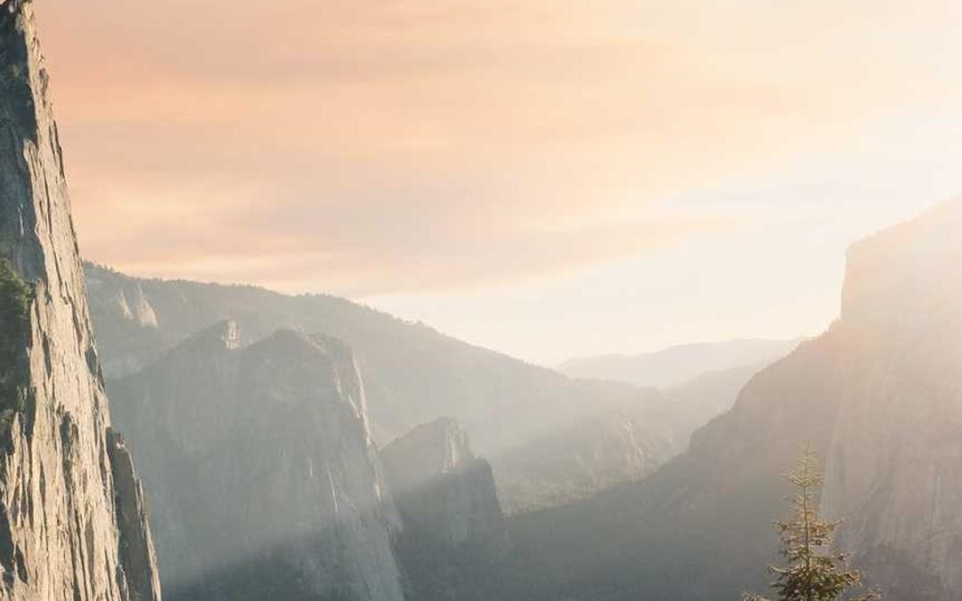 The Role of Typography in Brand Identity